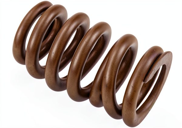 GM Genuine Parts Valve Springs for Chevrolet-1