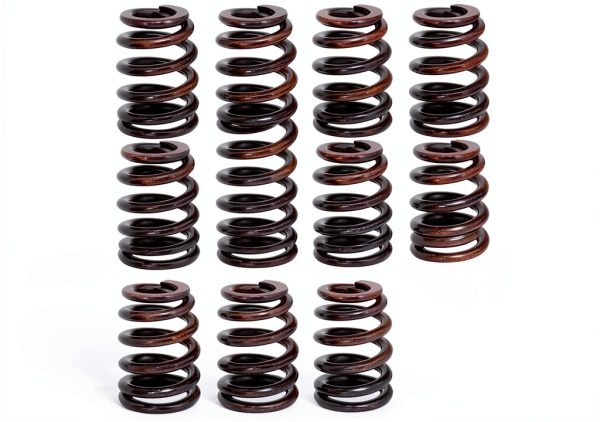 Nakkaa LS1 Engine Valve Spring Kit-1
