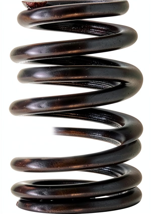 Nakkaa LS1 Engine Valve Spring Kit-4