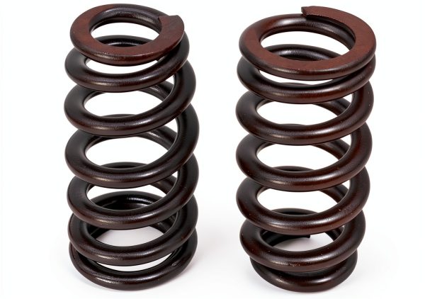 Nakkaa LS1 Engine Valve Spring Kit-6