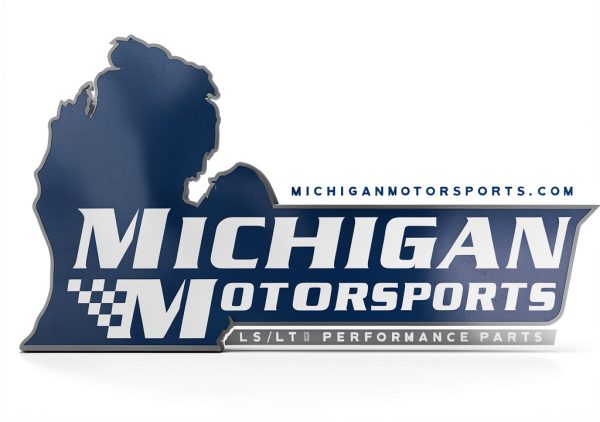 Michigan Motorsports Beehive Spring Set LS Engine Valve-5