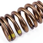 GM Genuine Parts Valve Springs for Chevrolet-0