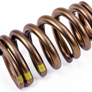 GM Genuine Parts Valve Springs for Chevrolet-0