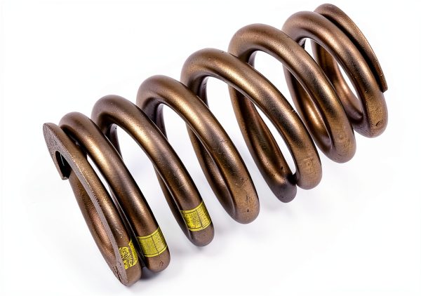 GM Genuine Parts Valve Springs for Chevrolet-0