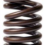 LowPricedAutoParts Engine Valve Springs for Enhanced-0