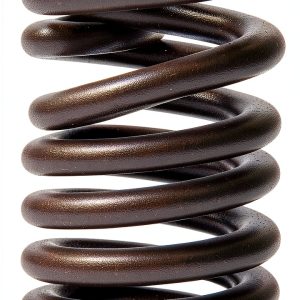 LowPricedAutoParts Engine Valve Springs for Enhanced-0