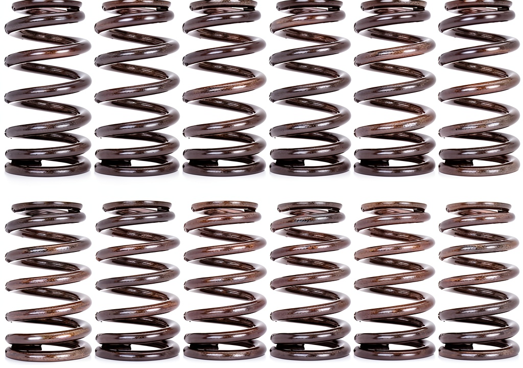 Comp Cams Beehive LS6 valve springs