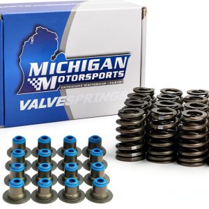 Michigan Motorsports Beehive Spring Set LS Engine Valve-0