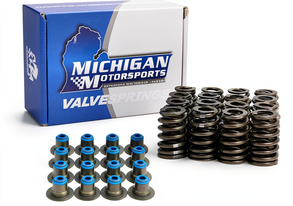 Michigan Motorsports Beehive Spring Set close-up