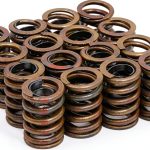 Enginetech Engine Valve Springs Replacement-0
