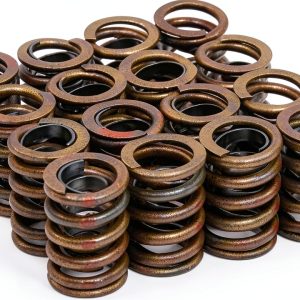 Enginetech Engine Valve Springs Replacement-0