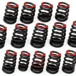 Nakkaa LS1 Engine Valve Spring Kit-0