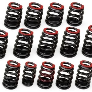 Nakkaa LS1 Engine Valve Spring Kit-0