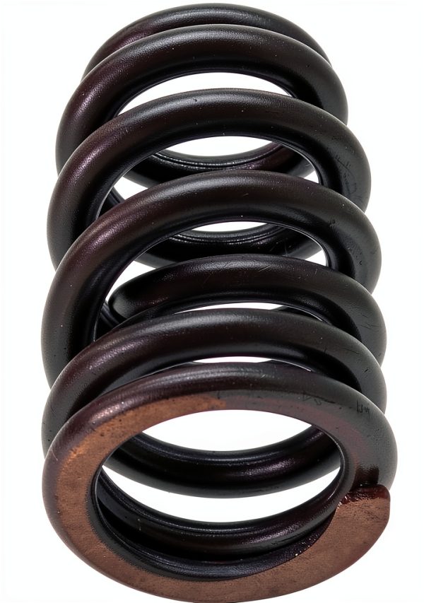 Nakkaa LS1 Engine Valve Spring Kit-5
