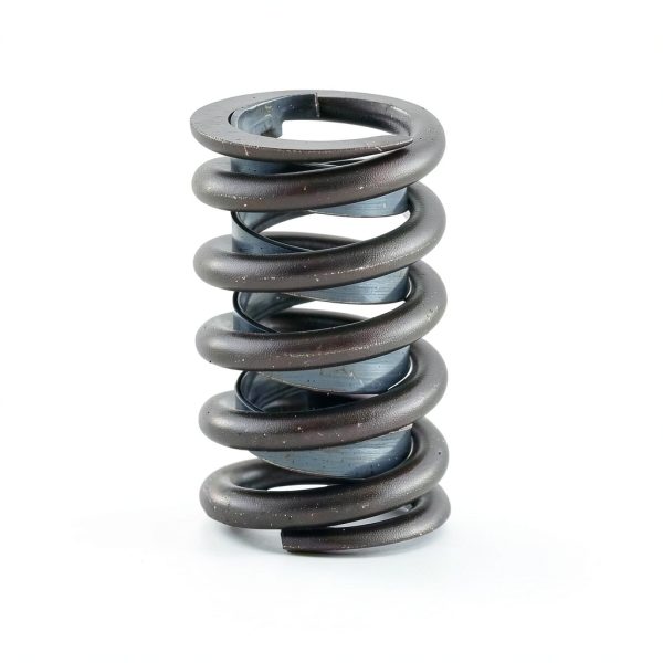 Enginetech Engine Valve Springs Replacement-1
