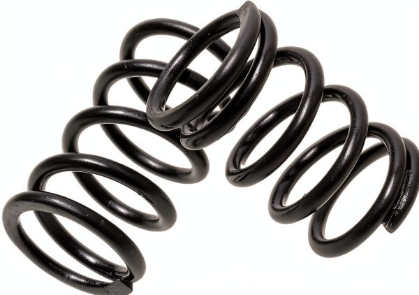 Honda Valve Springs AKSGKGQ Pre 420 Heavy Duty-1