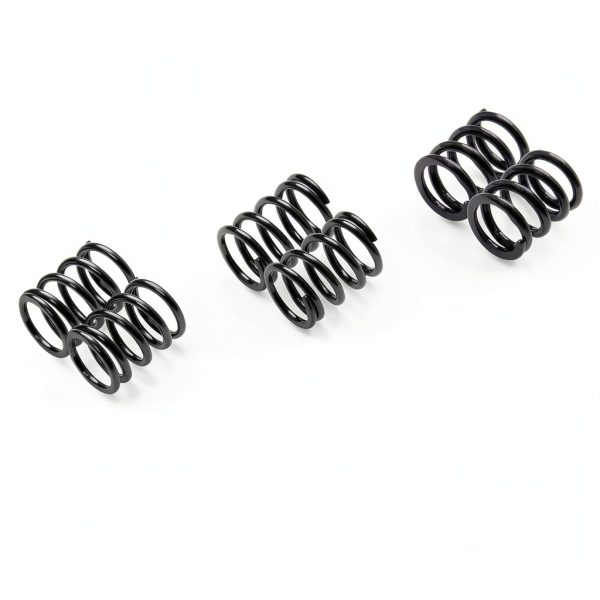 Valve Springs BEAST BEE Zinc Coated Engine Fit-4