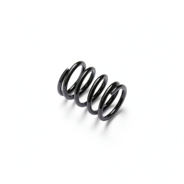 Valve Springs BEAST BEE Zinc Coated Engine Fit-1