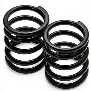 Valve Springs BEAST BEE Zinc Coated Engine Fit-0